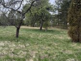 Labanoro regioniniame parke, parduodama namo - nuotraukos Nr. 7