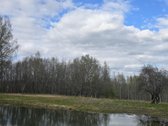 Tai ne sklypas, tai vieta ieškantiems privatumo. - nuotraukos Nr. 3