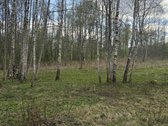 Tai ne sklypas, tai vieta ieškantiems privatumo. - nuotraukos Nr. 4