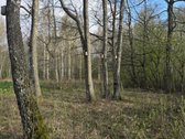 Tai ne sklypas, tai vieta ieškantiems privatumo. - nuotraukos Nr. 7