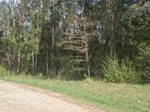 Parduodamas sklypas įsikūręs šalia Kunigiškių - nuotraukos Nr. 6