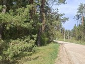 Parduodamas sklypas įsikūręs šalia Kunigiškių - nuotraukos Nr. 7