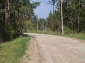 Parduodamas sklypas įsikūręs šalia Kunigiškių - nuotraukos Nr. 10