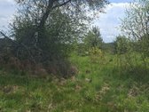Parduodamas sklypas įsikūręs šalia Kunigiškių - nuotraukos Nr. 12