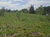 Parduodamas sklypas įsikūręs šalia Kunigiškių - nuotraukos Nr. 14