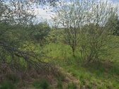 Parduodamas sklypas įsikūręs šalia Kunigiškių - nuotraukos Nr. 15