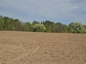 Parduodamas sklypas įsikūręs šalia Kunigiškių - nuotraukos Nr. 22