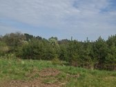 Parduodamas sklypas įsikūręs šalia Kunigiškių - nuotraukos Nr. 27