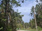Parduodamas sklypas įsikūręs šalia Kunigiškių - nuotraukos Nr. 9
