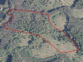 Parduodamas 3,53 Ha Žemės Ūkio Paskirties - nuotraukos Nr. 5