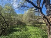 Parduodama jauki sodyba gamtos apsuptyje – - nuotraukos Nr. 20