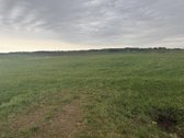 Parduodamas išskirtinis 2,67ha sklypas - nuotraukos Nr. 9