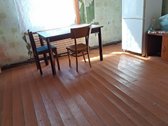 Parduodama sodyba vienkiemis,kupiškio raj - nuotraukos Nr. 8