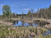 Parduodama jauki sodyba gamtos apsuptyje – - nuotraukos Nr. 36
