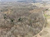Parduodamas 15,03 Ha Miškų Ūkio Paskirties - nuotraukos Nr. 4
