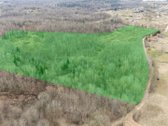 Parduodamas 15,03 Ha Miškų Ūkio Paskirties - nuotraukos Nr. 6