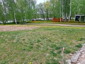 Parduodamas sklypas prie Šešupės užtvankos marių. - nuotraukos Nr. 5