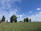 Parduodamas Kėdainių R., Josvainių Sen., - nuotraukos Nr. 2