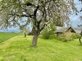 Parduodama Sodyba su 3,15 ha Žemės Ūkio - nuotraukos Nr. 6