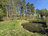 Nuostabi vieta salia nemuno, krastinis - nuotraukos Nr. 3