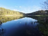 Dzūkijos Vaizdingoje Vietoje Šalia Tolkūnų
