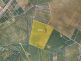 Šiaulių r. sav., Kužių sen., Šobliškių k. - nuotraukos Nr. 2