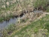 Parduodamas išskirtinis 2,67ha sklypas - nuotraukos Nr. 6
