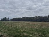 Parduodamas 4,10ha žemės ūkio paskirties