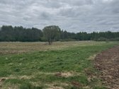 Parduodamas 4,10ha žemės ūkio paskirties - nuotraukos Nr. 4