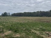 Parduodamas 4,10ha žemės ūkio paskirties - nuotraukos Nr. 5