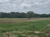 Parduodamas 4,10ha žemės ūkio paskirties - nuotraukos Nr. 6