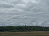 Parduodamas 4,10ha žemės ūkio paskirties - nuotraukos Nr. 7