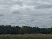 Parduodamas 4,10ha žemės ūkio paskirties - nuotraukos Nr. 3