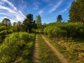 Molėtų rajone, viename gražiausių - nuotraukos Nr. 19