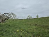 Parduodamas 15 arų namų valdos sklypas - nuotraukos Nr. 4