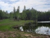 Parduodamas 3,94 ha namų valdos, žemės ūkio, - nuotraukos Nr. 4