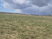 Parduodami du 13 ir 16 arų namų valdos - nuotraukos Nr. 4