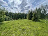 Parduodamas 3.61 Ha Sklypas Su Žaliuojančiu - nuotraukos Nr. 4