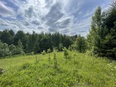 Parduodamas 3.61 Ha Sklypas Su Žaliuojančiu - nuotraukos Nr. 6