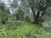 Parduodamas 1,96 ha ūkio paskirties sklypas - nuotraukos Nr. 4