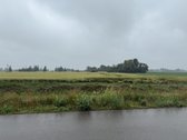 Parduodamas 1,96 ha ūkio paskirties sklypas - nuotraukos Nr. 5