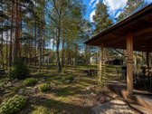 Išskirtiniai namai pušyno apsuptyje Dzūkijos - nuotraukos Nr. 5