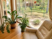 Išskirtiniai namai pušyno apsuptyje Dzūkijos - nuotraukos Nr. 6