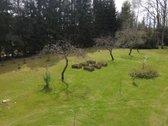 Parduodamas 1.32 ha sklypas, sudarytas iš: - nuotraukos Nr. 12