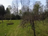 Parduodamas 1.32 ha sklypas, sudarytas iš: - nuotraukos Nr. 15