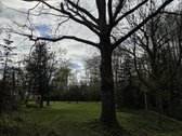 Parduodamas 1.32 ha sklypas, sudarytas iš: - nuotraukos Nr. 25