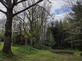 Parduodamas 1.32 ha sklypas, sudarytas iš: - nuotraukos Nr. 26