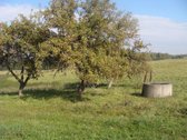 Lavaravos km., sklypas - sodyba (13.9 Ha ) - nuotraukos Nr. 5