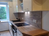 Pilnai įrengtas, nereikalaujantis investicijų - nuotraukos Nr. 11