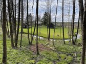 Sodybą sudaro trys žemės sklypai, bendras - nuotraukos Nr. 18